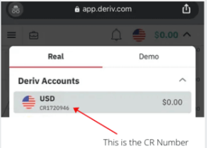 CR Number to use when transferring funds as a payment agent on Deriv