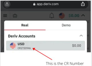 How to see your CR Number On Deriv